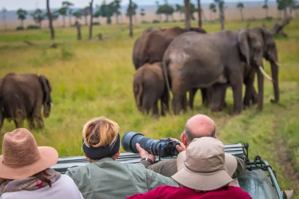 Group Tour ( How much does a Kenyan Safari Cost)