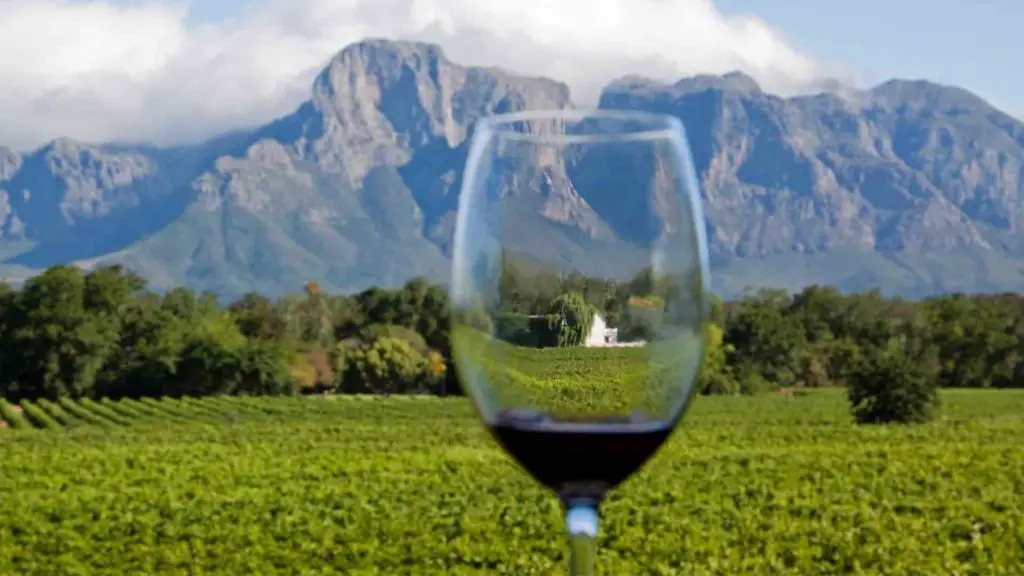 cape winelands, South Africa
