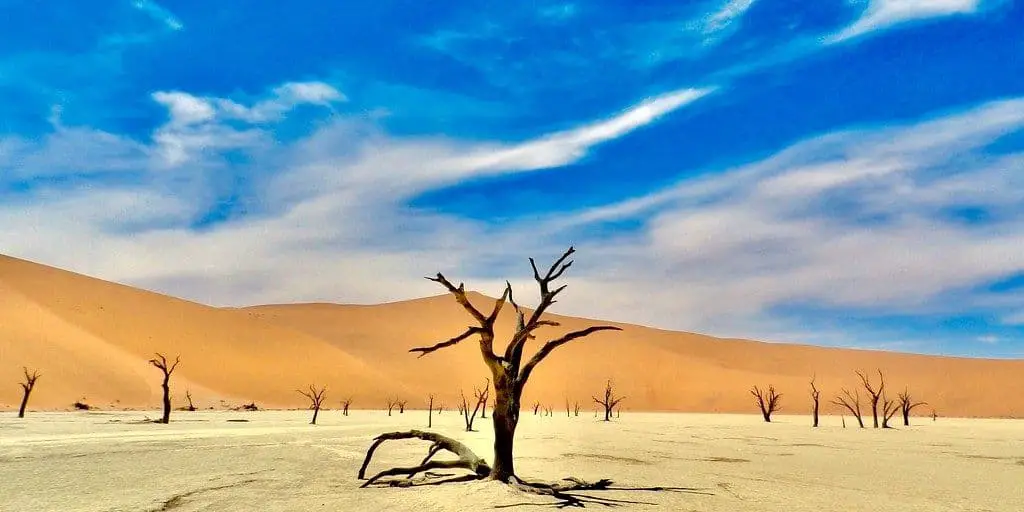 "Namib Desert one of the top deserts in Africa