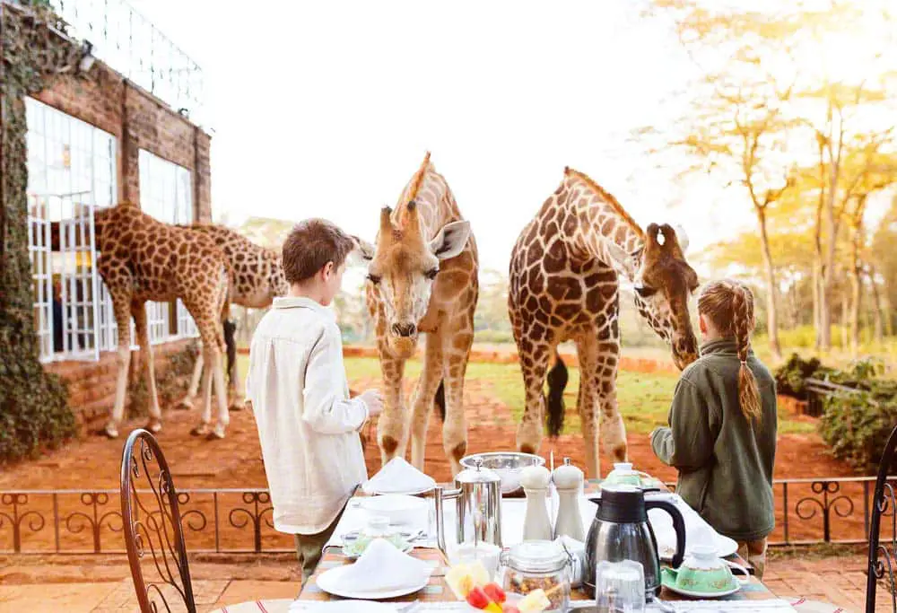 Giraffe Manor: Photo Travel photo bloggers