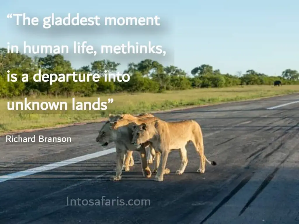 Gladdest moment (Best Travel quotes)
