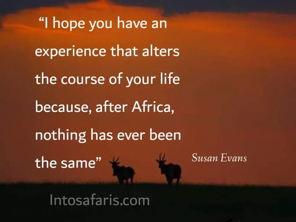 Experience that alters (Best Travel quotes)