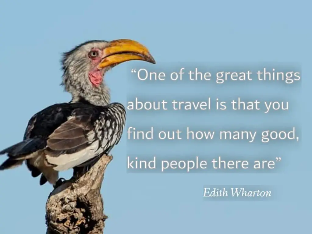 One of the great things ( Best Travel quotes)