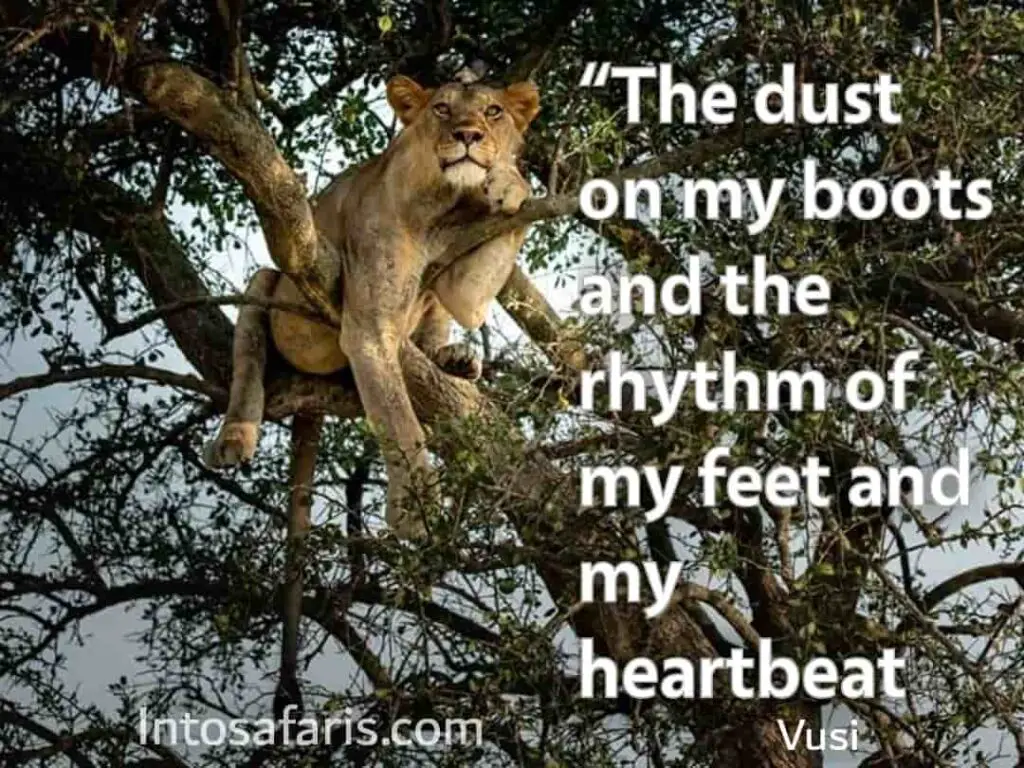 Dust on my boot (Best Travel quotes)