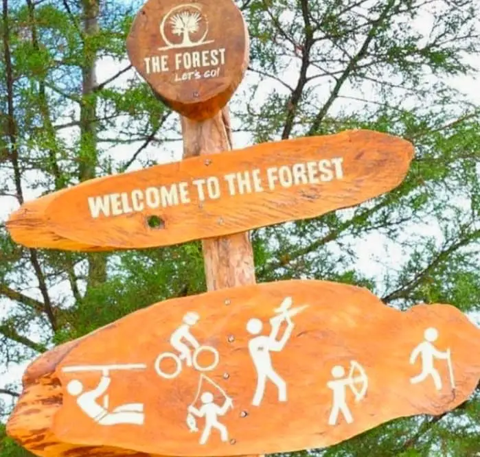 Welcome to the Forest Signage 