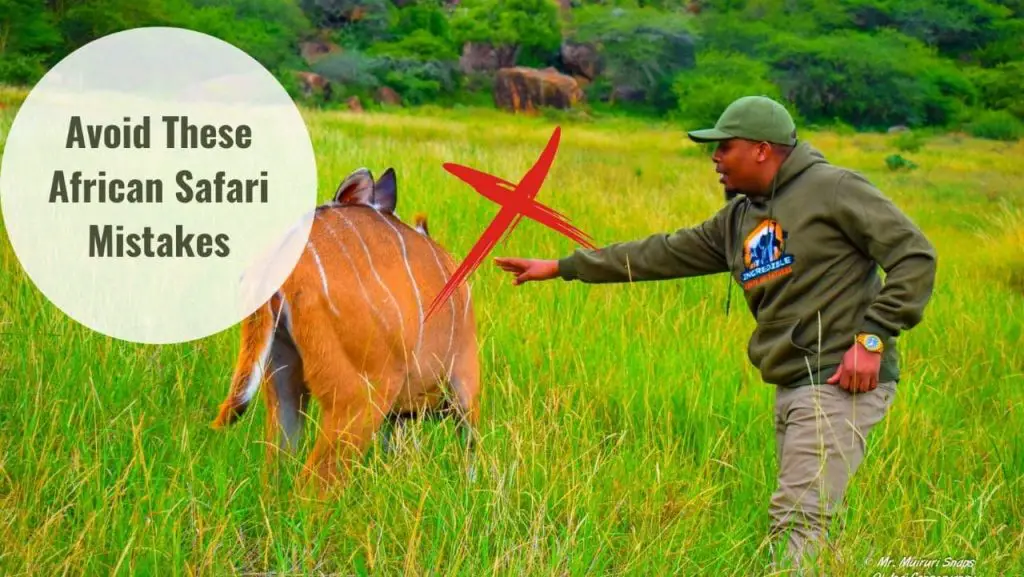 Mistakes to avoid on African Safari