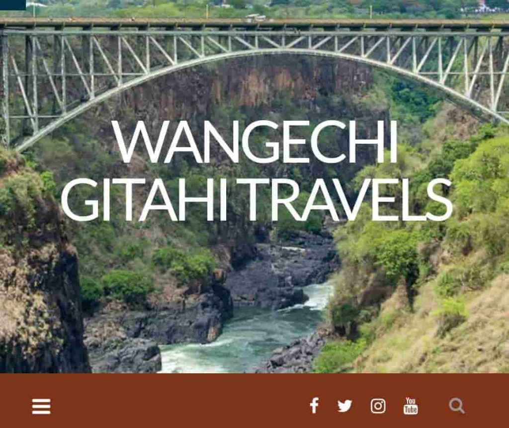 Travels by Wangechi Gitahi
