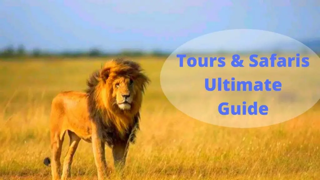 The Ultimate Tours and Safaris guide
