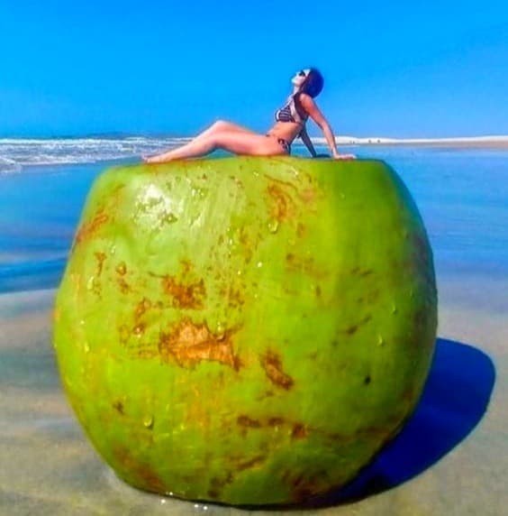 Beach Photo Poses - Creating Illusion- Image Pinterest