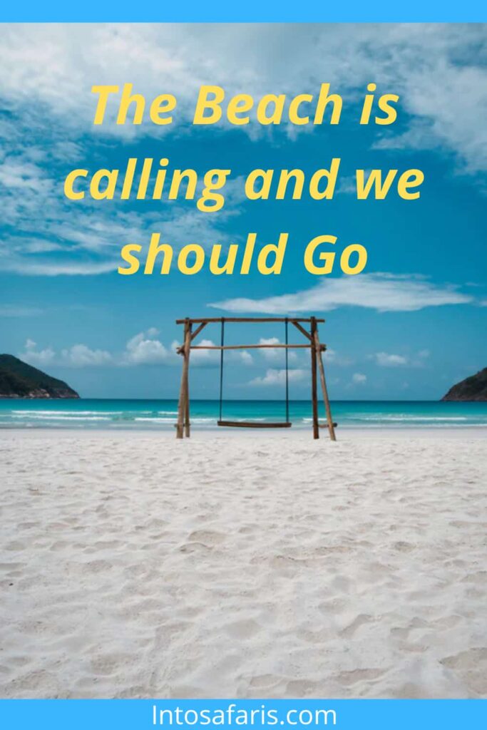 Beach Quotes and Captions about the beach - Friendship Quotes