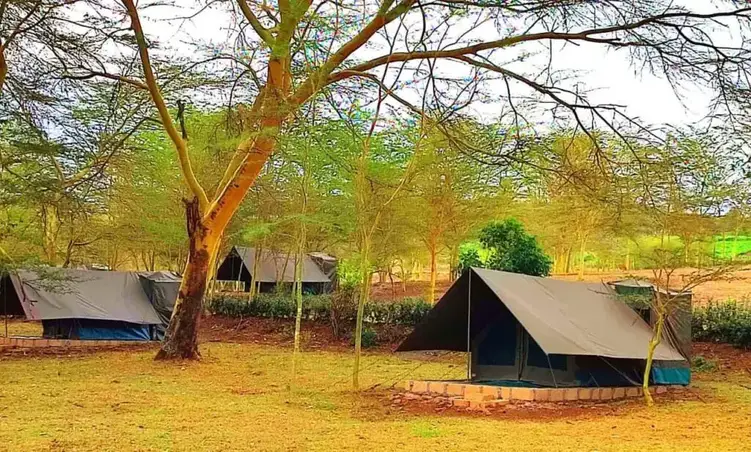 Executive Tented Camps